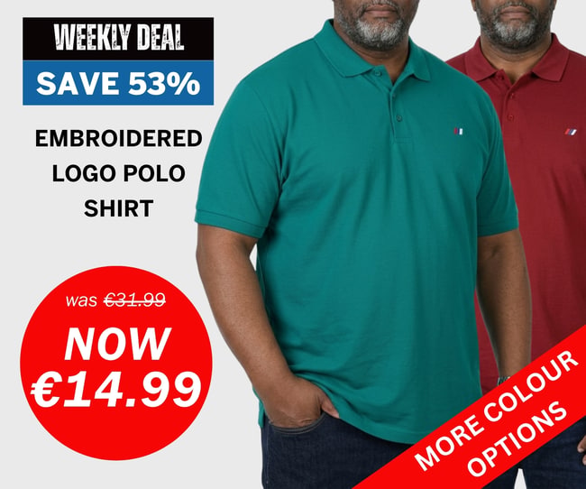  Embroidered Logo Polo Shirt now €14.99